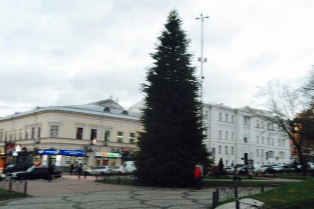 В Киеве на Подоле установили первую новогоднюю елку: фотофакт