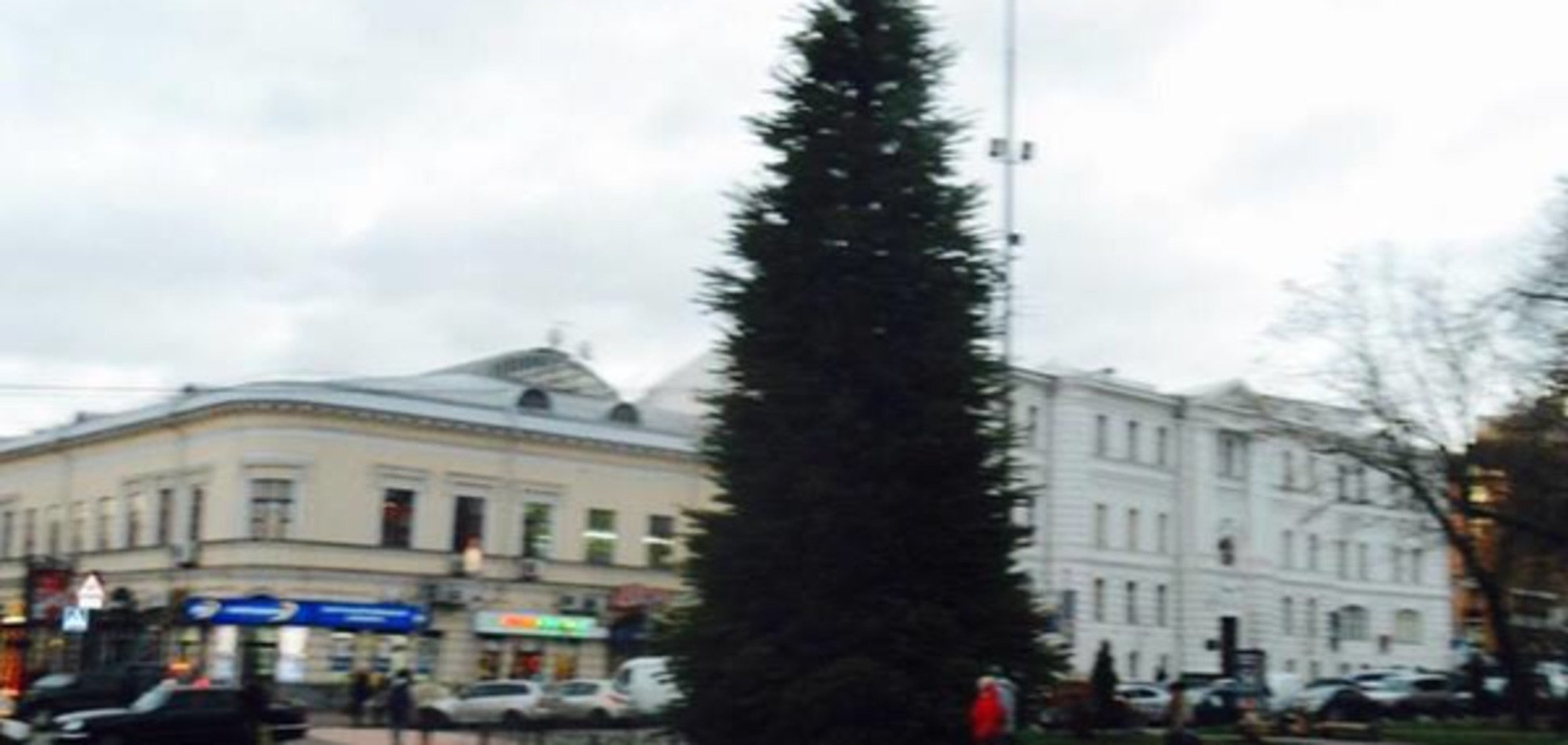 В Киеве на Подоле установили первую новогоднюю елку: фотофакт
