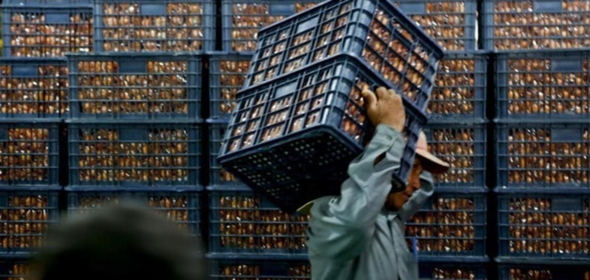 Сирия решила отправить 'фруктовый гумконвой' в Россию