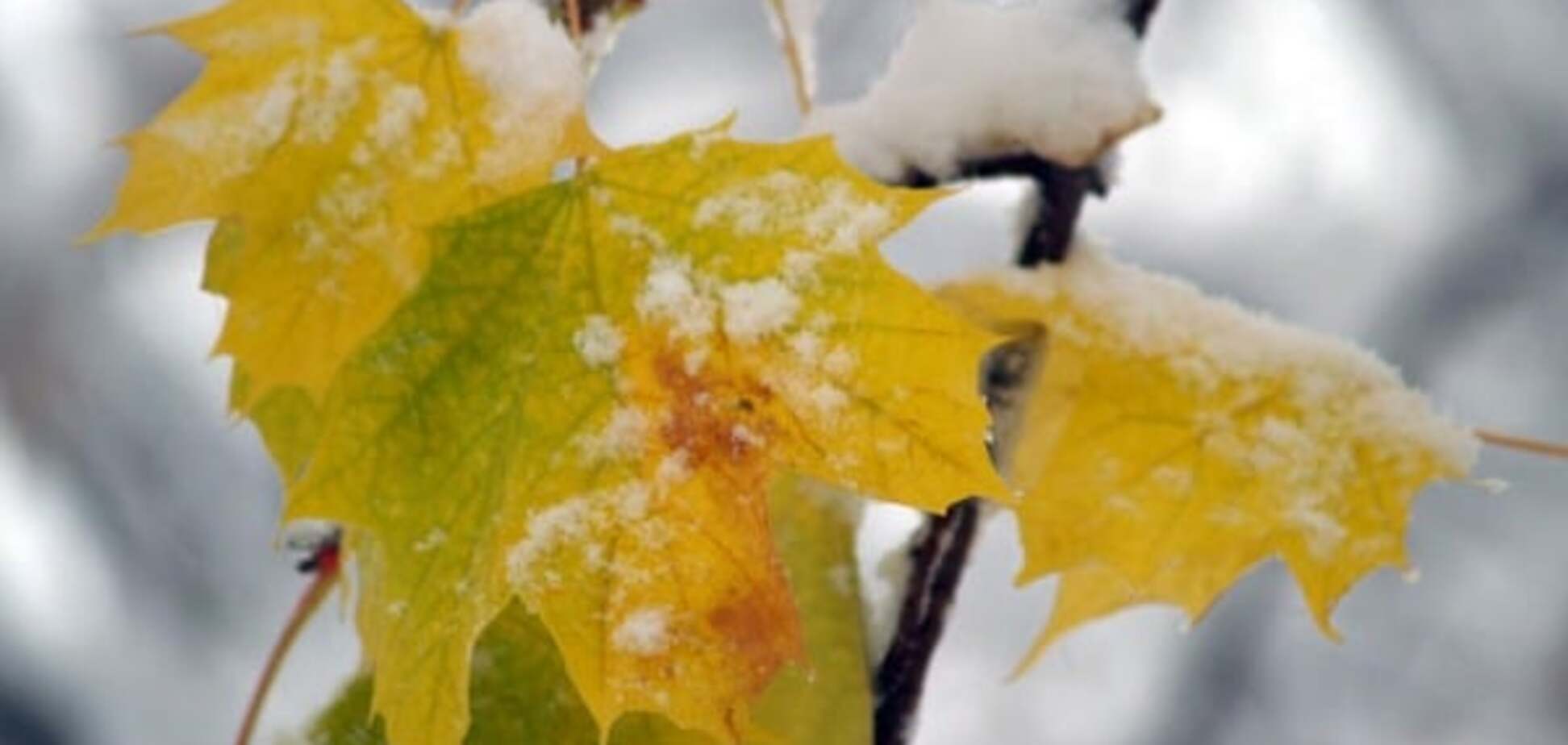 Синоптики рассказали, какую погоду принесет следующая неделя