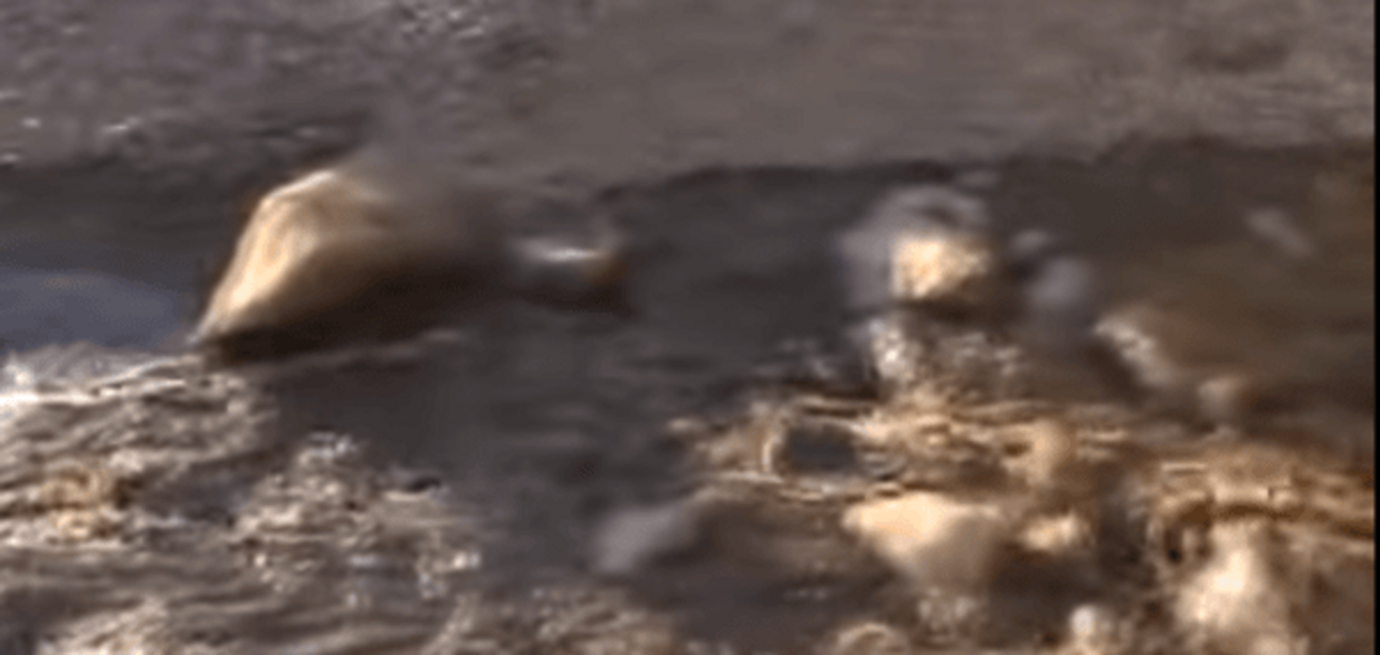 В обесточенном Крыму все фекалии спустили в Черное море: видеофакт