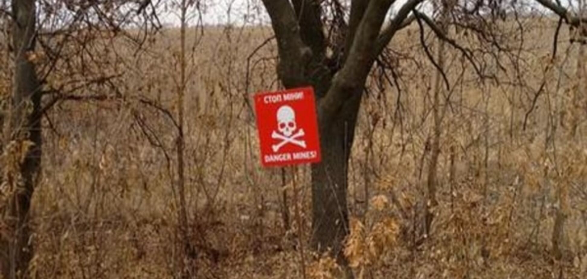 Мінні поля на Донбасі: смертоносна проблема на роки