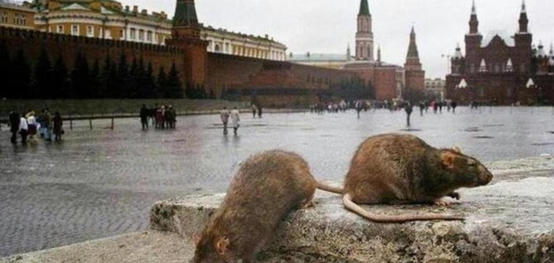 Російський журналіст про Путіна: час щурячого царювання добігає кінця