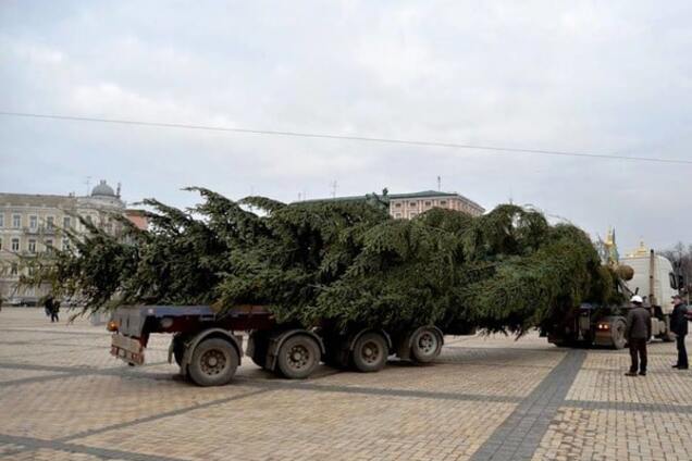 В Киеве главную елку украсят 'вкусными' игрушками