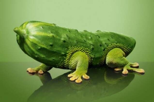 Непрошеные спасители: кто хочет избавить Украину от ГМО?