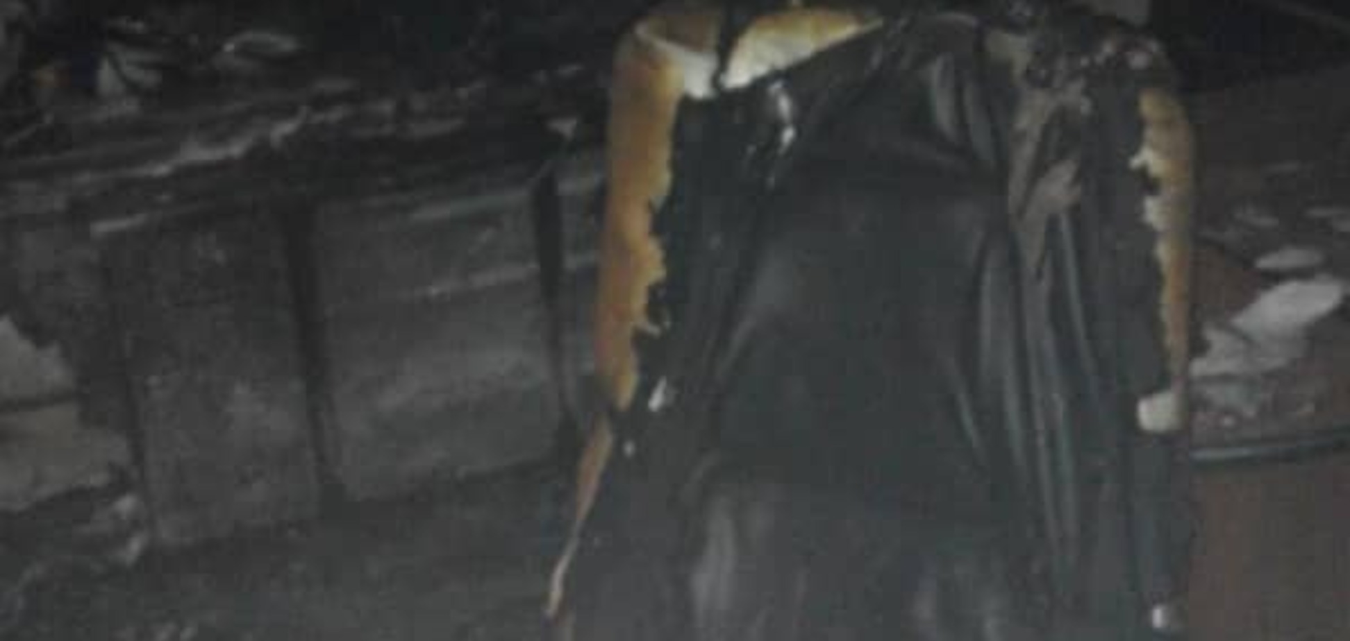 Підпал офісу ОУН у Києві: в поліції повідомили подробиці