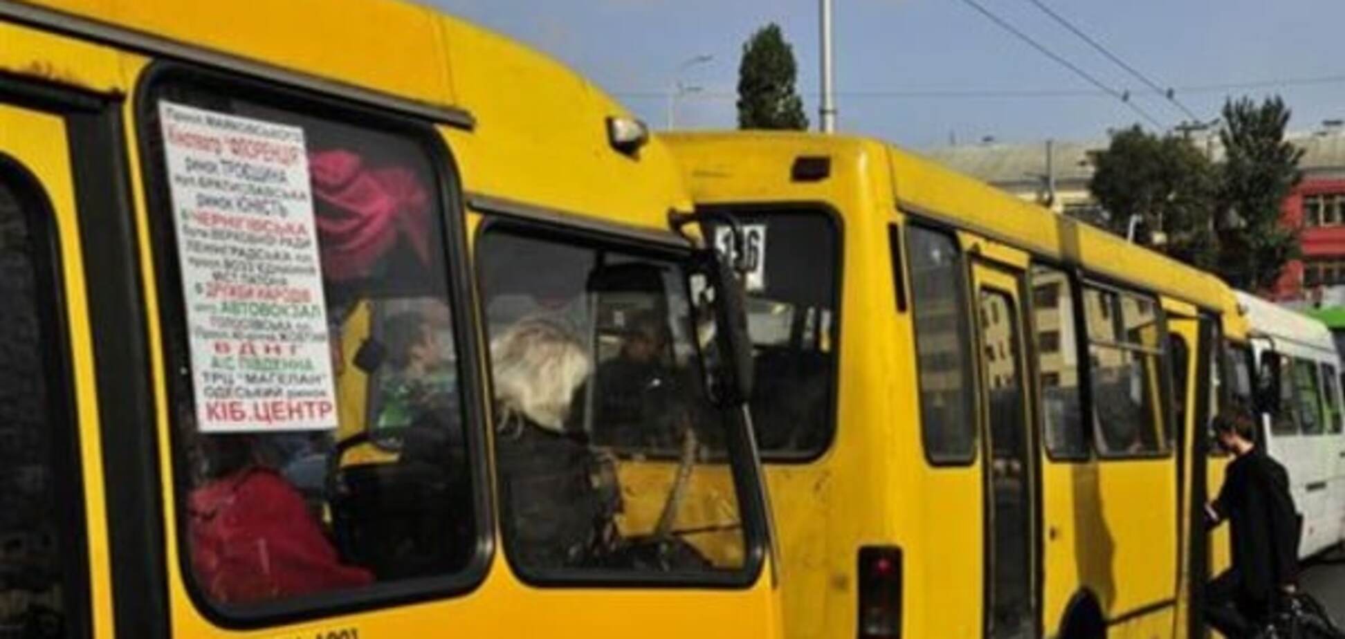 Доліталися: в Києві маршрутки влаштували ДТП, є постраждалий