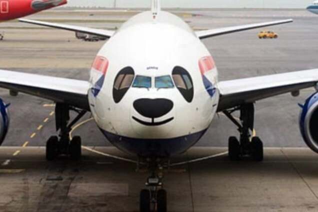 Панда в небе: 16 ярких фото арт-самолетов