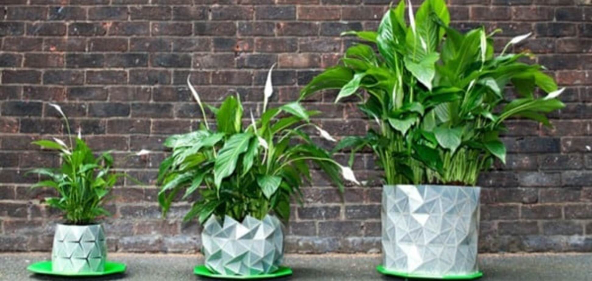 Як збільшити онлайн продажі в 2016 році