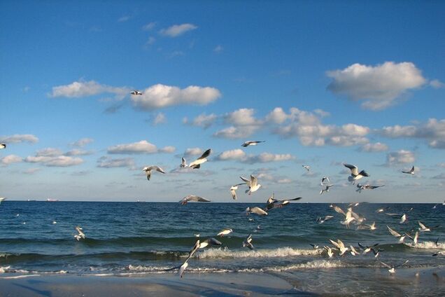 'Сепаратисты' хотят раскачать Одессу