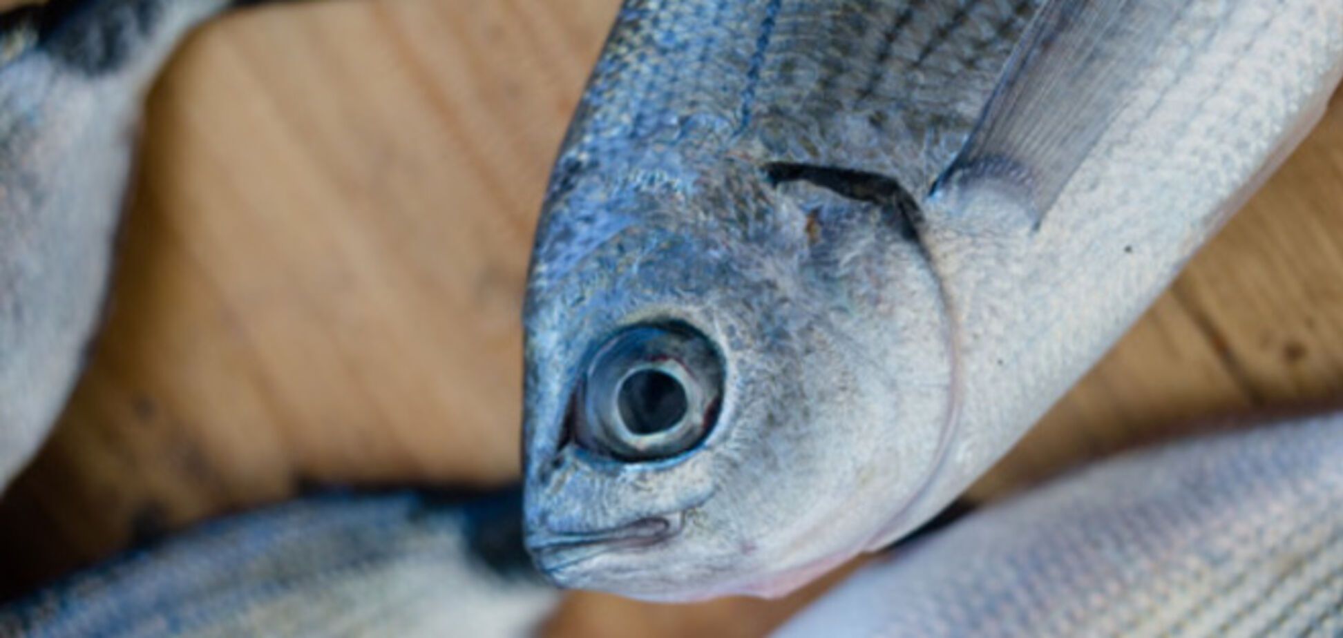 8 фактов, которые вы должны знать, отправляясь в магазин за рыбой