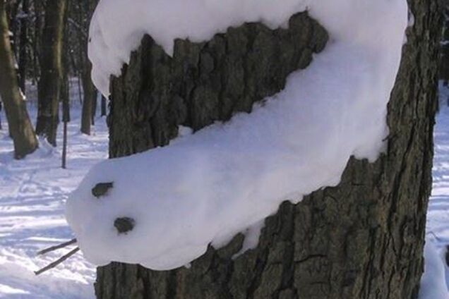 У київському парку з'явилася 'сніжна змія': фотофакт