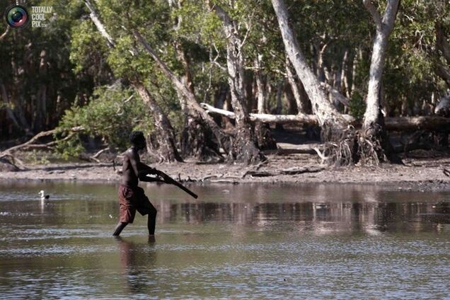 Как живут аборигены йолнгу в Австралии