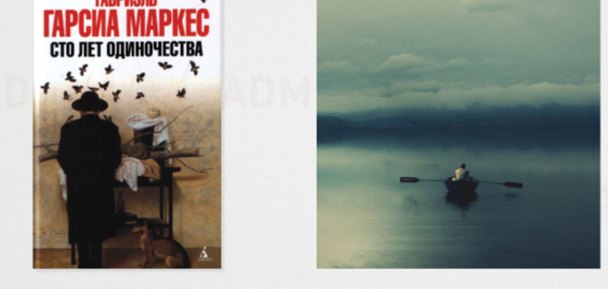 10 полярных книг: ожидания и реальность