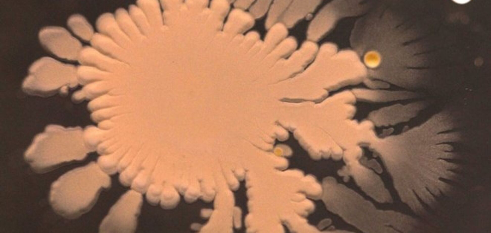 Ученые начали искать пришельцев глубоко под землей