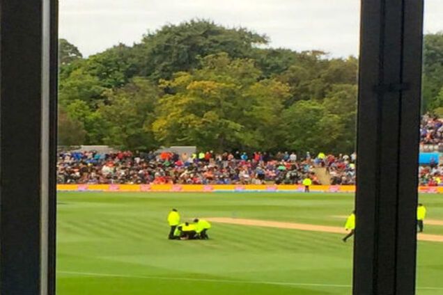 Голый идиот прервал матч Кубка мира по крикету: курьезные фото