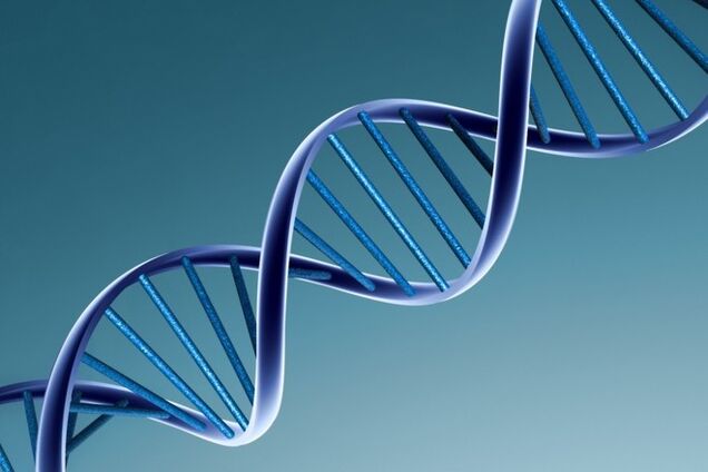 Вчені визначать місце народження людини за ДНК
