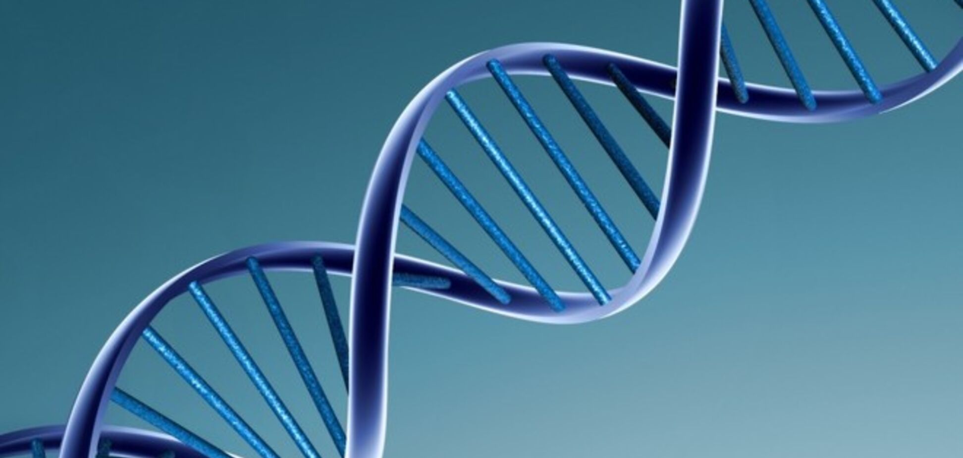 Ученые определят место рождения человека по ДНК