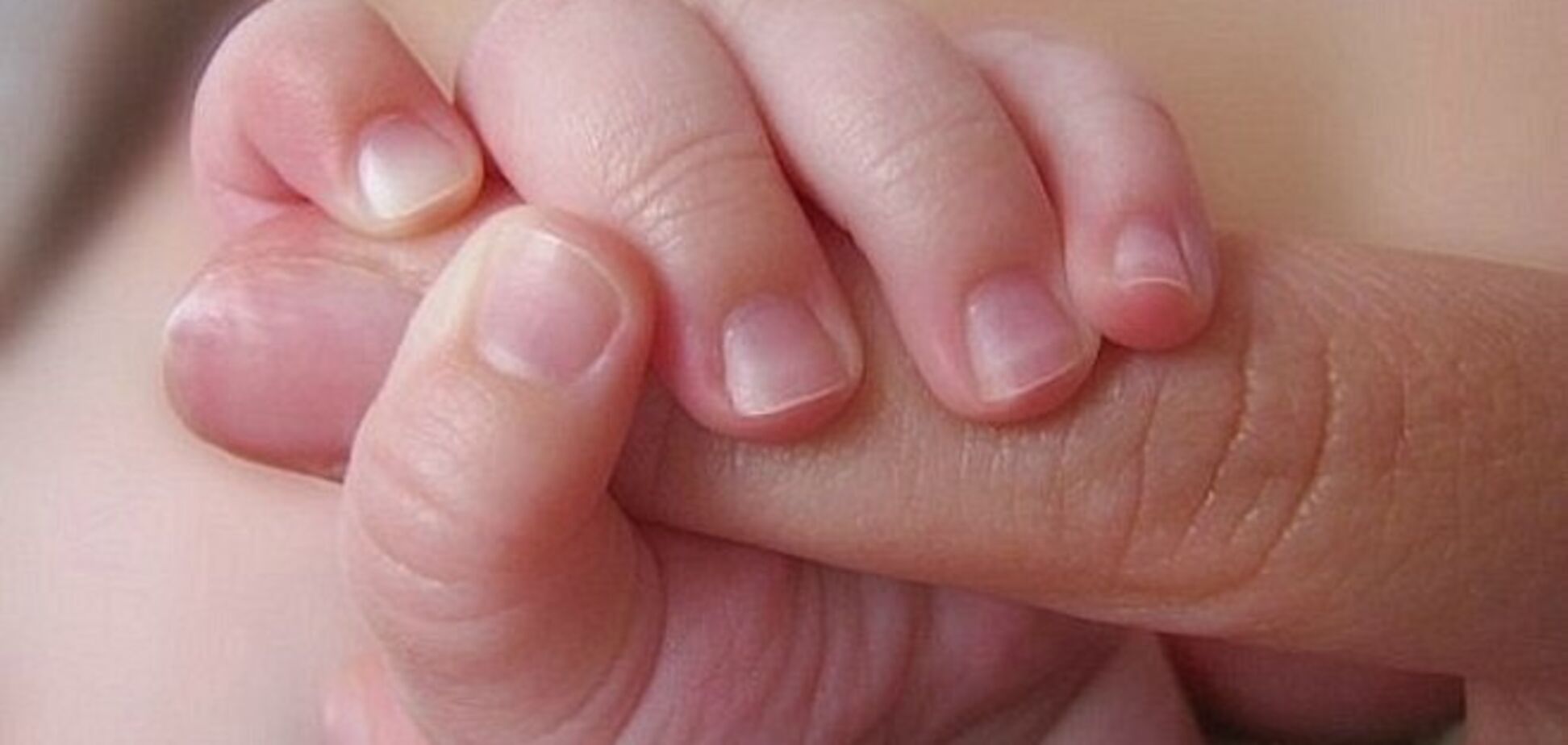 Маленькая испуганная женщина с двумя детьми, поднявшая руку в робком приветствии... вот за кого мы воюем