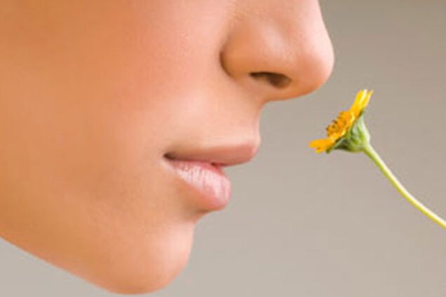 Как запахи влияют на работоспособность, память и концентрацию внимания