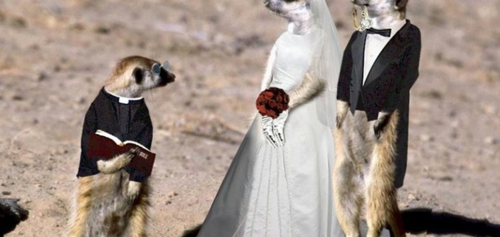 Опубликованы достаточно странные свадебные фото