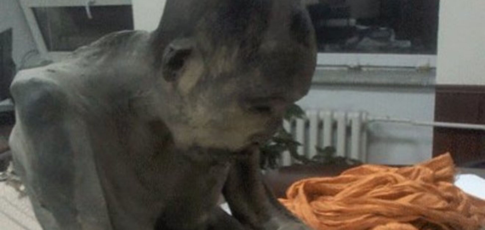 В Монголии нашли мумию буддийского монаха возрастом 200 лет