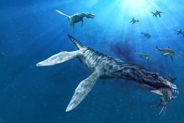 В России нашли неизвестный ранее вид доисторического ящера