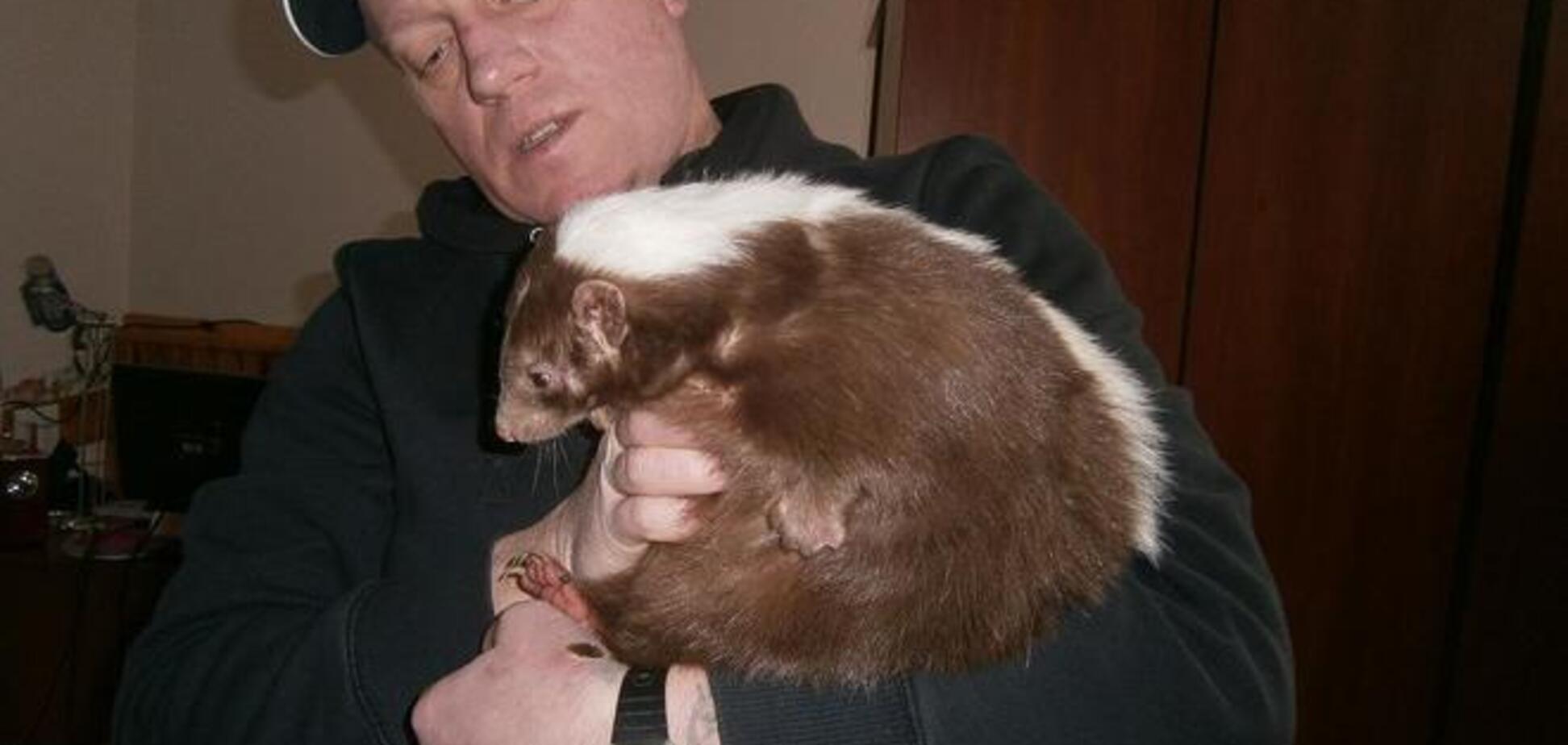 Скунс Агнесса из киевского зоопарка предсказала раннюю весну