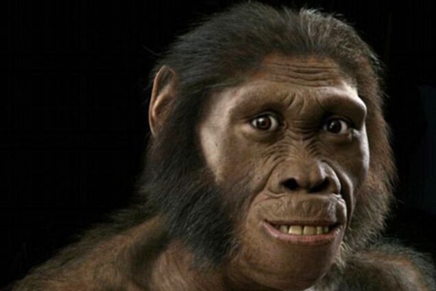 Ученые показали, как человек отличается от обезьяны на генетическом уровне