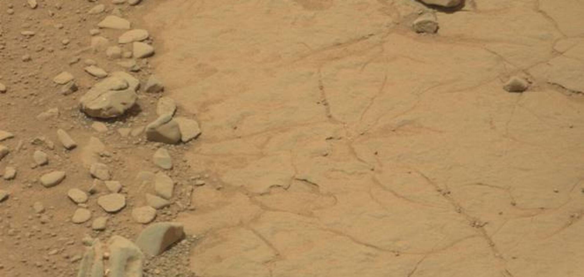 На Марсе обнаружили окаменелый череп 'динозавра'