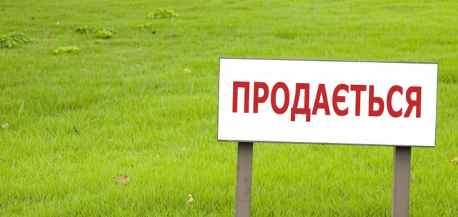 Земельні ділянки в Україні можуть піти на електронні торги
