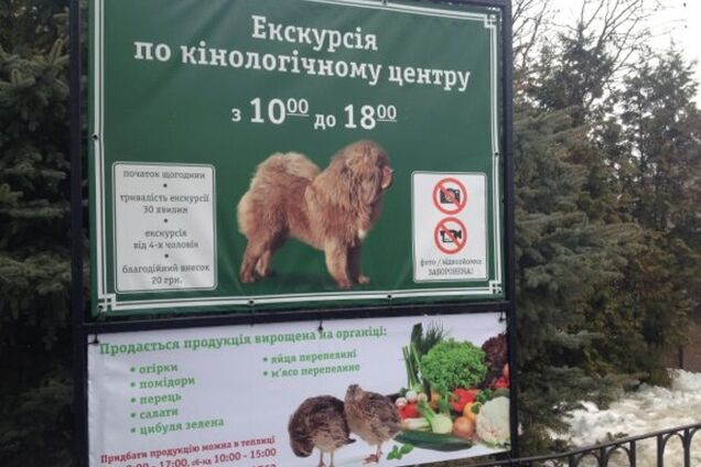 Журналисты выяснили, что стало с 'Межигорьем' и за чей счет его содержат