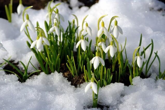 Последняя неделя зимы принесет Украине потепление