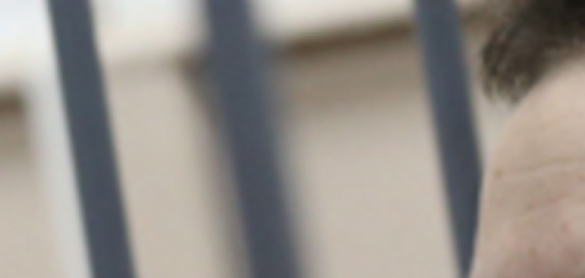 Адвокат опубликовал обращение Савченко накануне марша за ее освобождение: я борюсь против системы