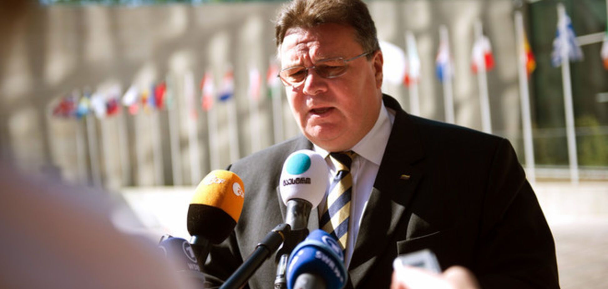 Глава МИД Литвы призвал США одобрить поставки оружия Украине