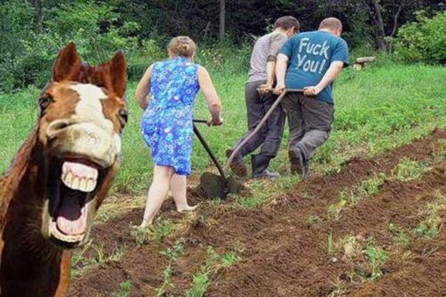 В ответ на падение гривни украинцы организовали 'Фестиваль паники и истерики': уморительная фотоподборка