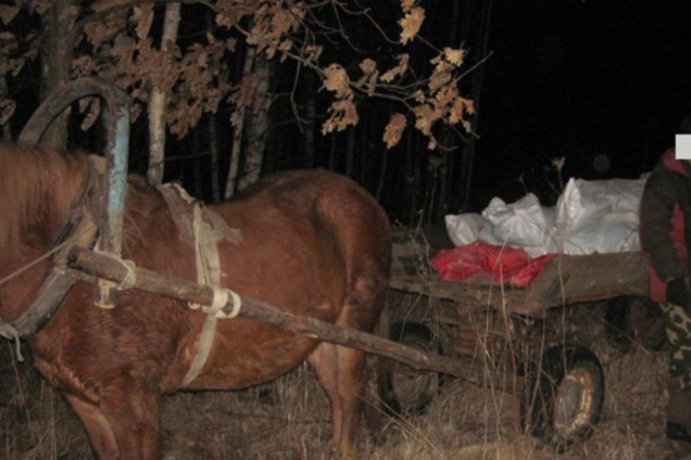 Українець намагався вивезти до Росії майже 500 кг сала