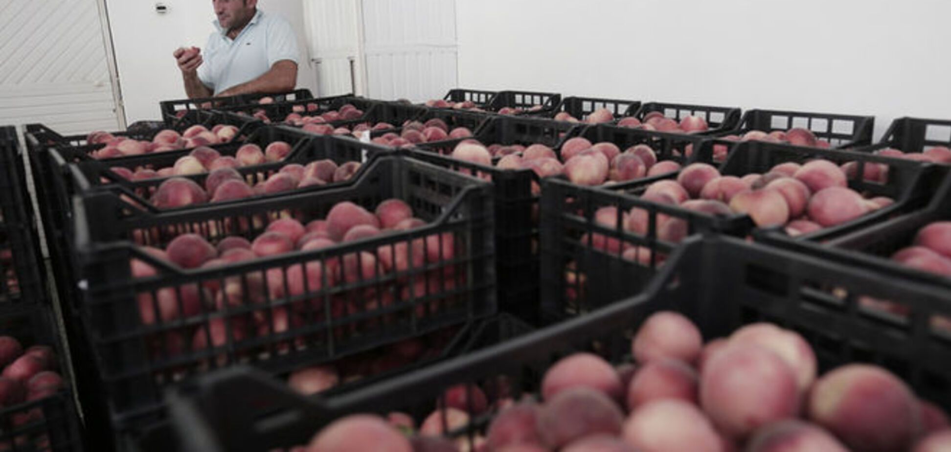 Российские депутаты хотят вернуть заграничные продукты