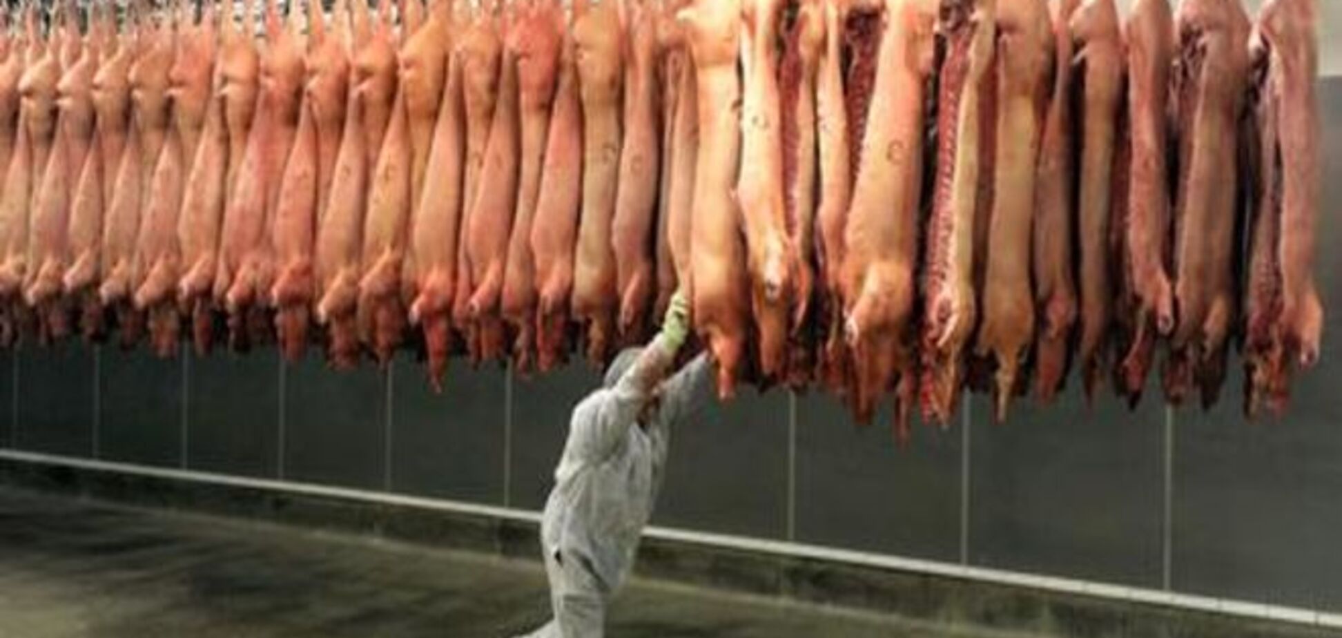 Последствия российского эмбарго: европейские свиноводы несут потери