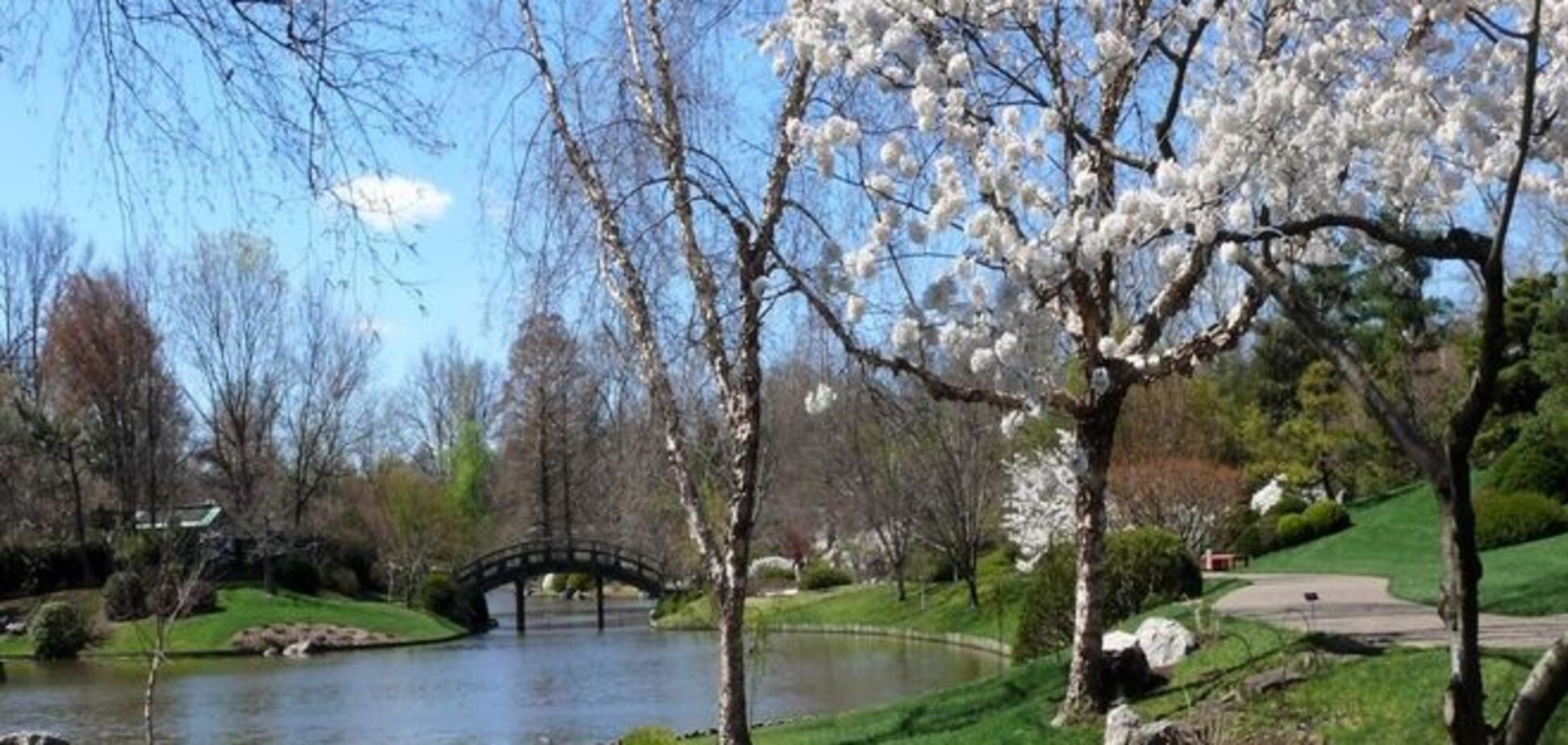 В пятницу Украину ждет весенняя погода: местами до +17