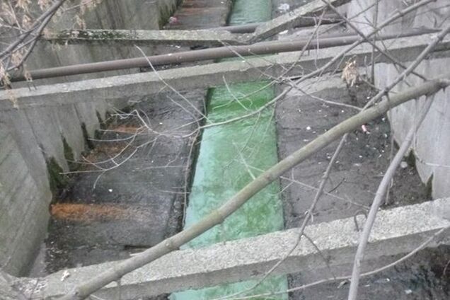 В Киеве позеленела вода в реке Лыбидь: фотофакт