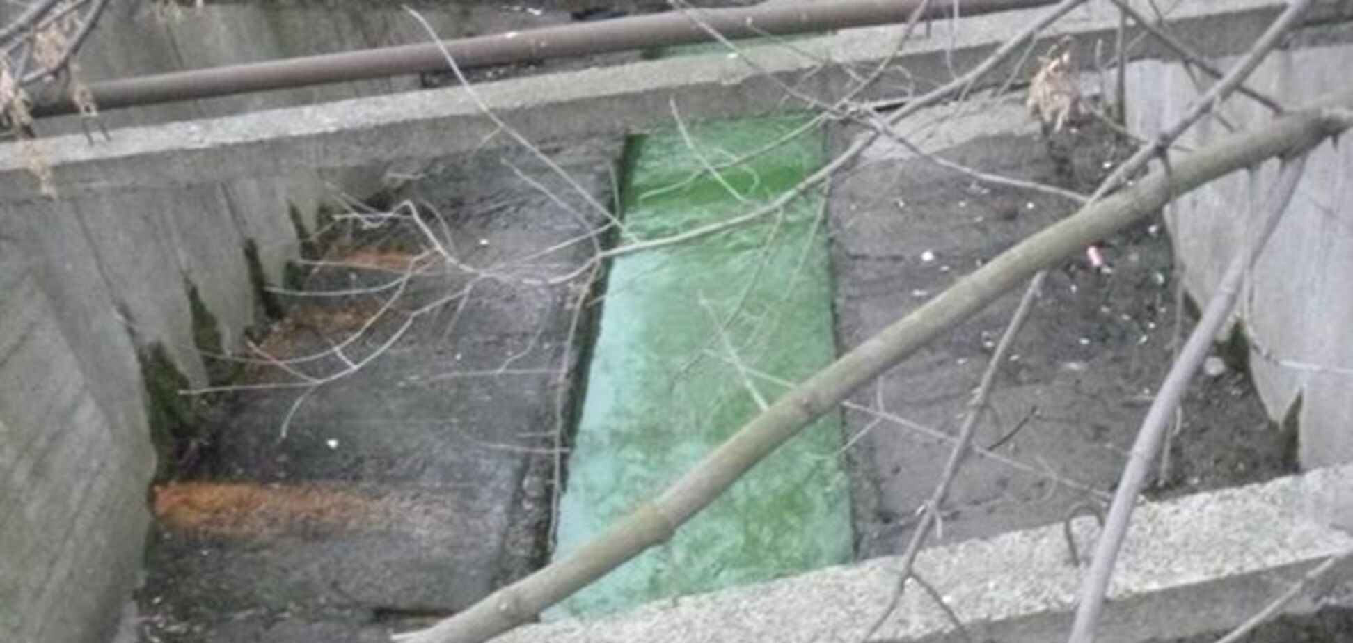 В Киеве позеленела вода в реке Лыбидь: фотофакт