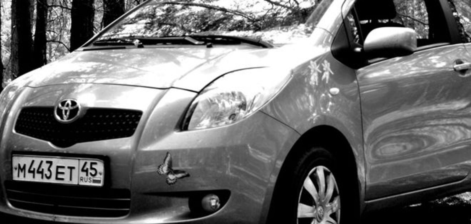 В России определили самый опасный автомобиль