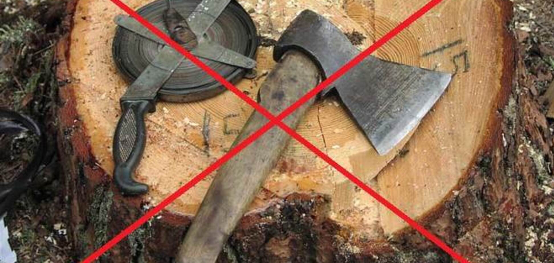 У Яценюка заинтересовались проблемой деревообработки: чего ждать отрасли