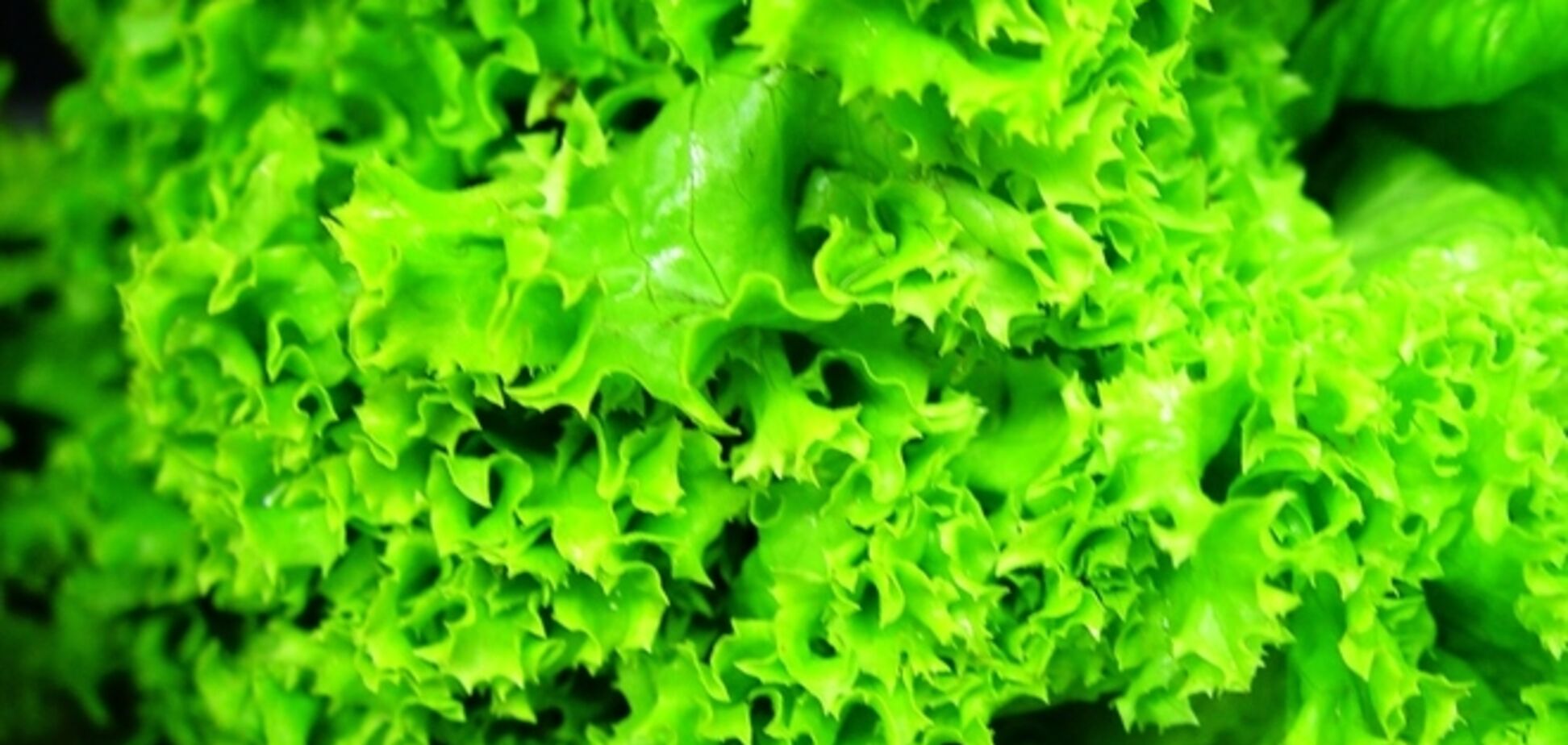 Диетологи назвали лучший салат для похудения