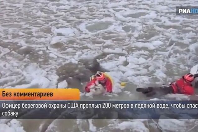 Американец проплыл 200 метров в ледяной воде, чтобы спасти собаку: видеофакт