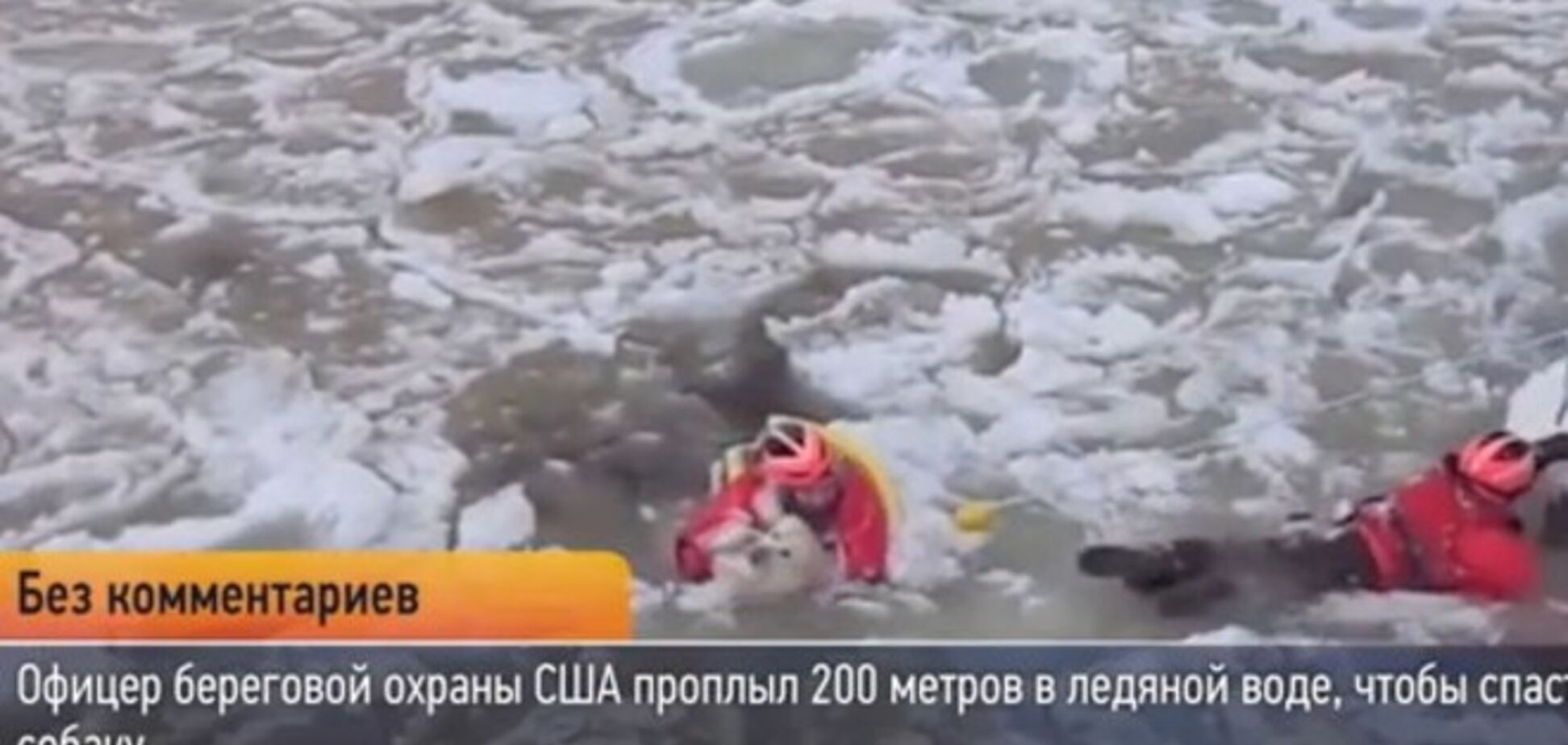 Американец проплыл 200 метров в ледяной воде, чтобы спасти собаку: видеофакт