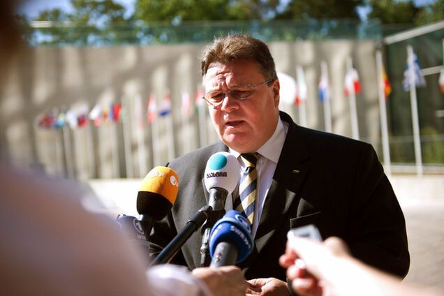 Глава МИД Литвы поддержал вооружение Украины
