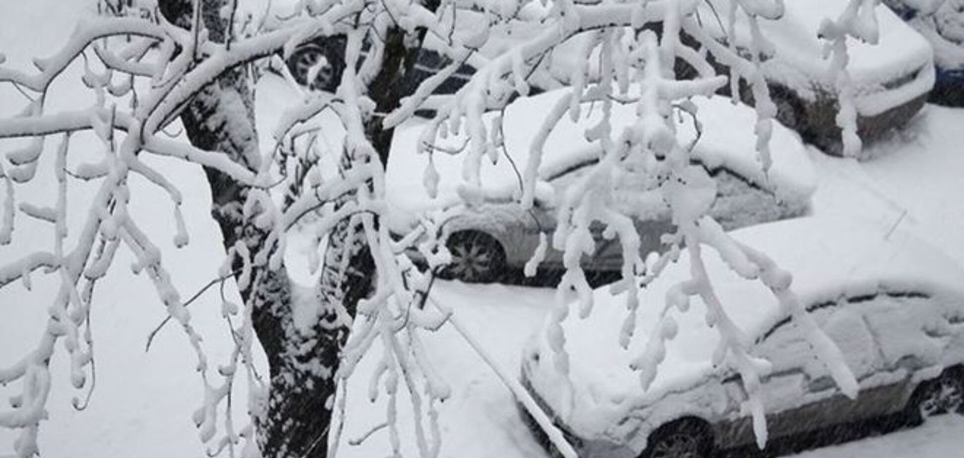 Снегопад в Киеве: пробки и 100 аварий. Как столица борется со стихией
