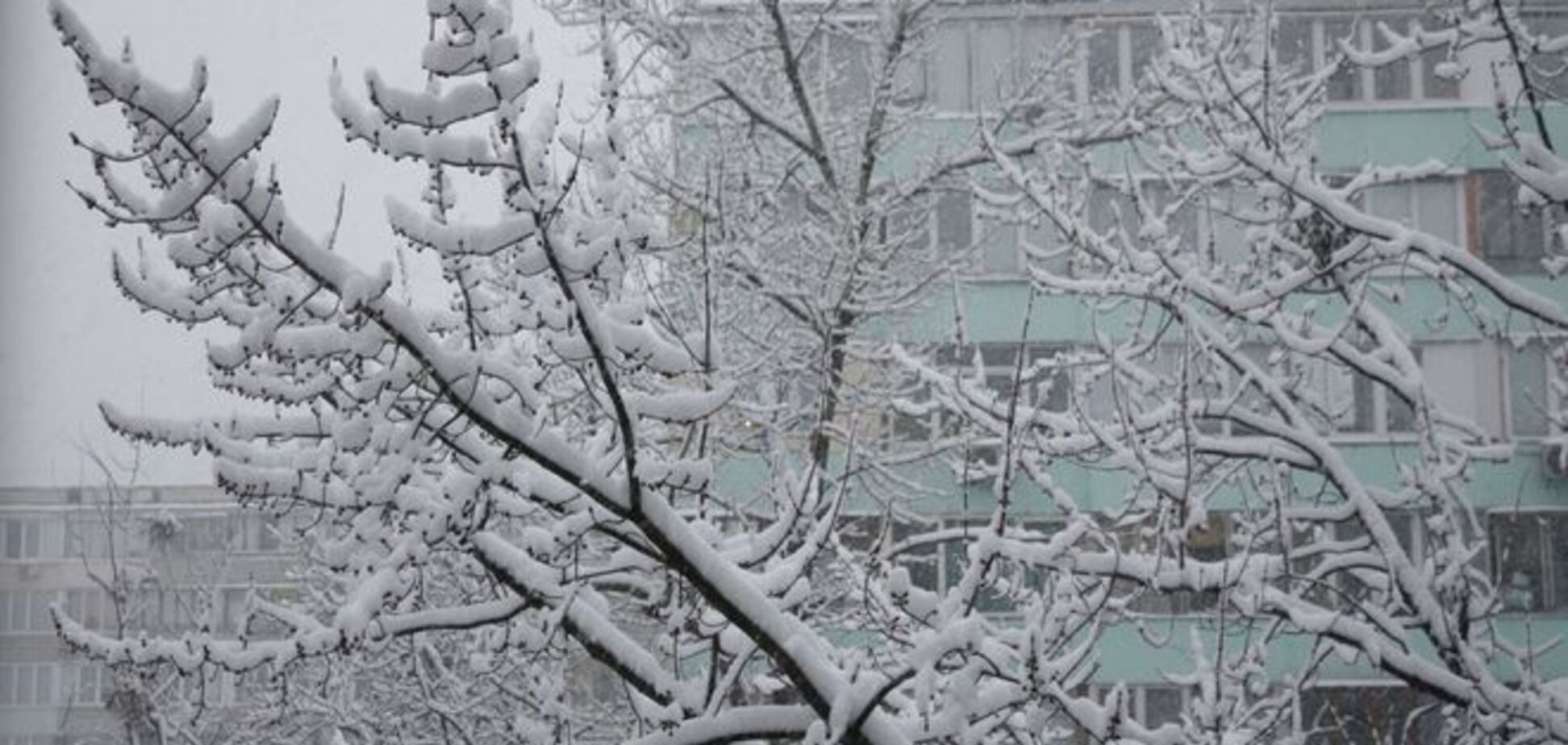 Киев парализовал снегопад: хроника событий, фото и видео
